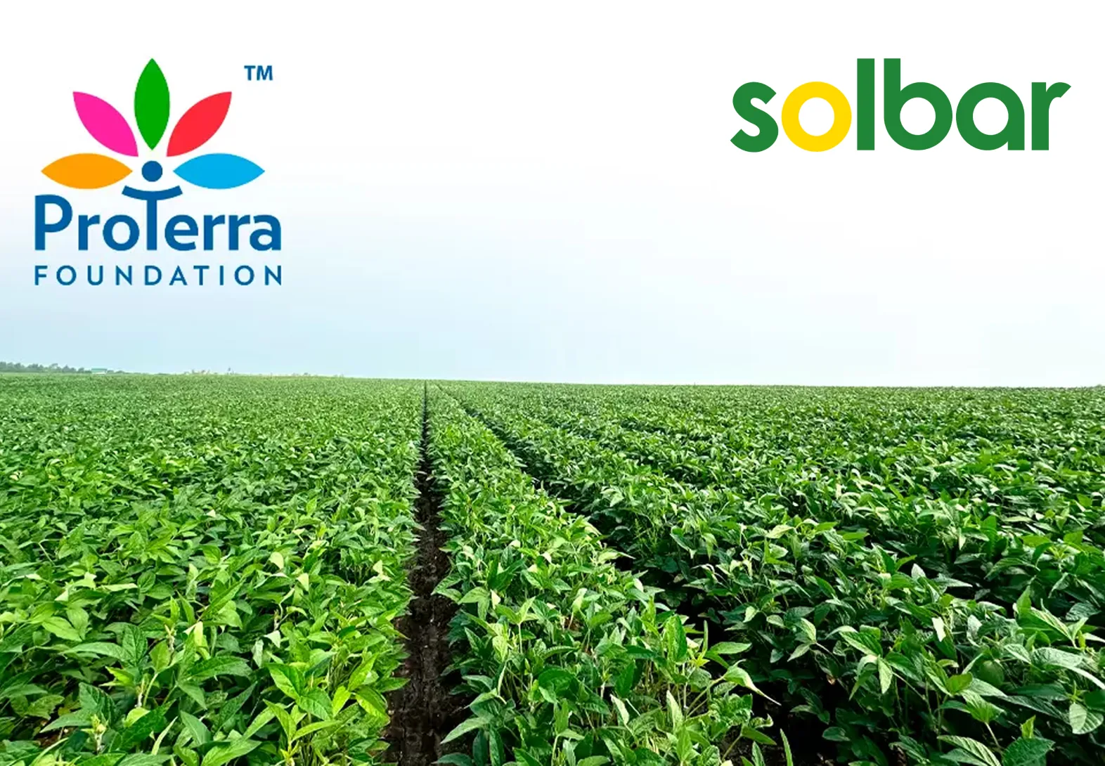 About Us Solbar