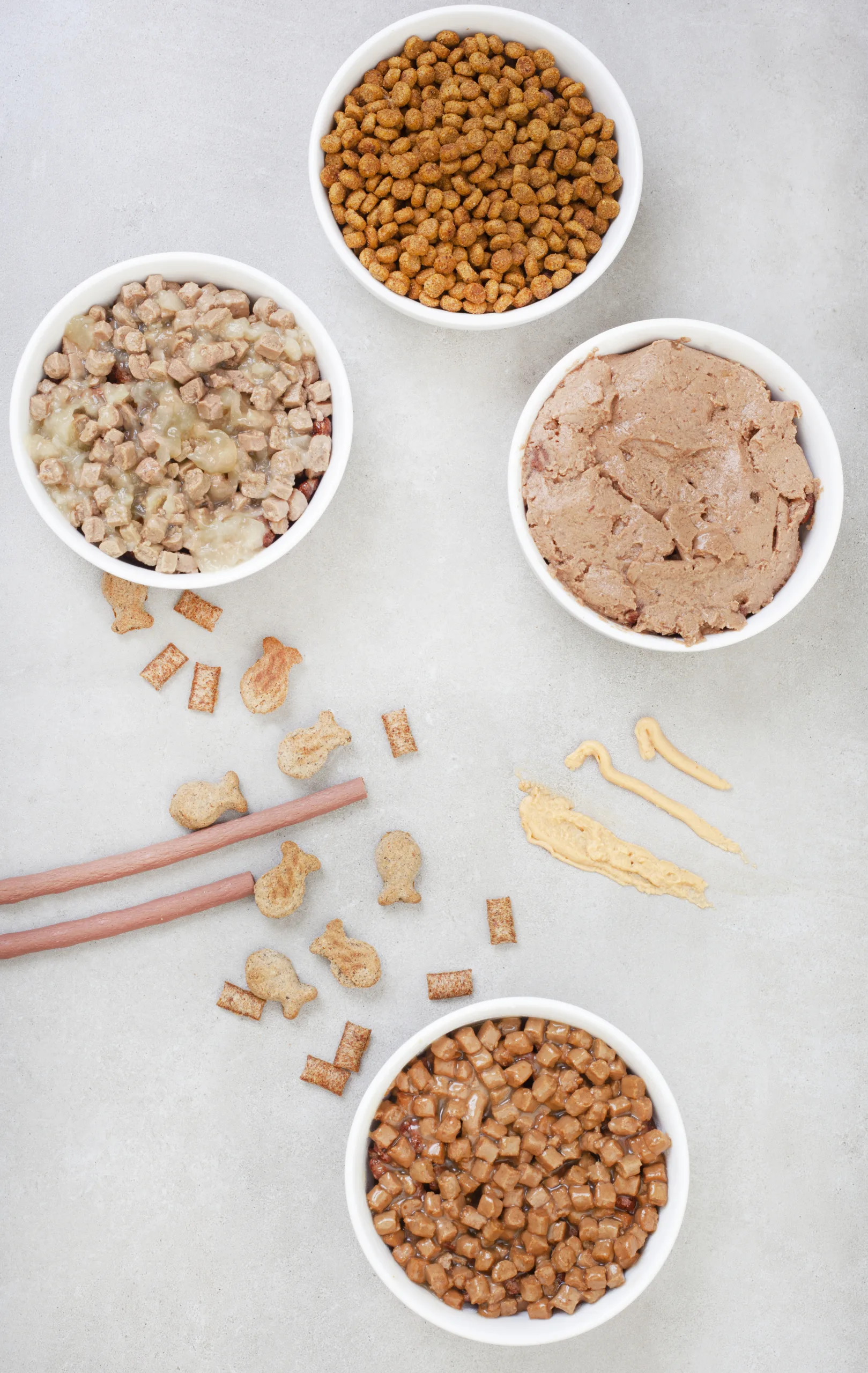 Different types of cat food in in bowls on grey surface with copy space